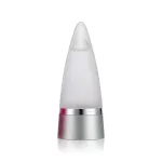 Meeste tualettvesi Rochas Rochas Man 100 ml