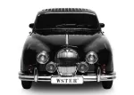 Juhtmevaba k&otilde;lar RETRO WS-596, 10W, FM-raadio, USB, TF, must