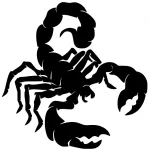 Taustata kleebis SKORPION, 12 x 12 cm, autole, motorattale, kiivrile