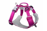 Koera valjad Red Dingo Sport, S suurus, fuksia v&auml;rvi