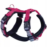 Koerte rakmed NOBBY DAILY WALK COMFORT, S-M, 32-36 cm, vaarikav&auml;rvi