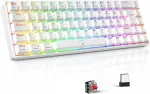 Mehaaniline m&auml;nguklaviatuur TECURS KB510, juhtmevaba, RGB, saksa QWERTY