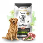 Koeratoit EUPHORIA FRESH MEAT TURKEY LAMB M/L 2 kg