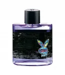 Meeste parf&uuml;&uuml;mvesi Playboy New York EDT 100 ml