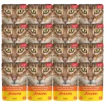 JOSERA kanapuljong kassidele porgandite ja spinatiga, 16 x 70 g