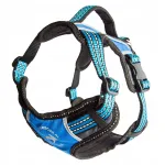 Koera rakmed 2X-SPORT GUARD, sinised, suurus M