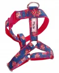 GUARD SUPERDOG koerarihmad, suurus S, AlePiesio