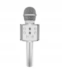 Karaokemikrofon k&otilde;lariga, h&otilde;bedane