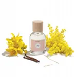 CLAIRE STRONG l&otilde;hnavesi naistele 50 ml
