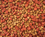 MAXIPET kuiv kassitoit kanaliha ja kalkunilihaga, 10 kg