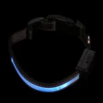 Koera LED kaelarihm kiire USB laadimisega 1ZEST