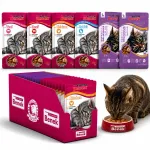Benek niiske kassitoit, erinevad maitsed, 24 x 100 g