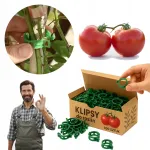 Tomatitaimede varte klambrid, 100 tk