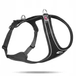 Koera rakmed Curli Beam Comfort Magnetic, mustad, suurus S