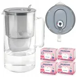 Vee filter kann Aquaphor Glass Grey nelja Maxfor Mg magneesiumifiltriga