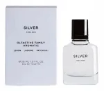 Meeste parf&uuml;&uuml;m ZARA MAN SILVER 30 ml