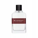 Meeste tualettvesi Givenchy Pour Homme, 100 ml