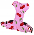 Koera rakmed v&auml;ikestele t&otilde;ugudele, CHERRY, rihm, 2 cm, suurus XS