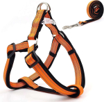Koera rakmed ja jalutusrihm 120 cm, suurus S, oranžid