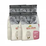 ALMO NATURE HOLISTIC KITTEN kassitoit kanaga, 4 x 2 kg