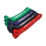 EasyFit ORIGIN vastupidavuskummide komplekt, 2&ndash;65 kg, 4 tk