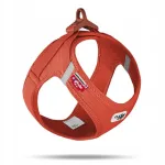 Koerarihmad Curli Clasp AirMesh, oranžid, suurus S
