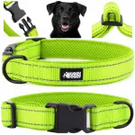 Reguleeritav roheline koera kaelarihm HUGGY DOGGY, peegeldav, vastupidav, suurus M