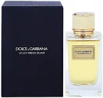 Naiste parf&uuml;&uuml;mvesi Dolce & Gabbana Velvet Mimosa Bloom 150 ml EDP