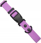V&auml;ike reguleeritav veekindel koera kaelarihm Hexa LAVENDER, 20&ndash;35 cm, XS