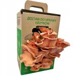 Oyster mushroom pink kasvatamiskomplekt