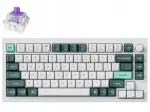 Veadeta mehaaniline klaviatuur KEYCHRON Q1 HE QMK