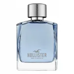 Meeste vettuvett HOLLISTER Wave 100 ml