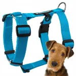 DOG'S PROFIT koera rakmed, reguleeritavad, M, heledates toonides