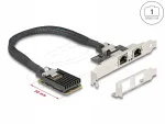 Delock 95280 Mini PCIe v&otilde;rgukaart, 2x RJ45, Gigabit LAN