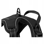 Koera rakmed libisemiskindlad, XL, 48&ndash;98 cm