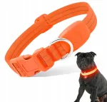 Valgust helendav LED kaelarihm koertele ja kassidele, USB, helkur, suurus M, 50 cm
