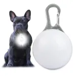 LED helendav ripats koera kaelarihmale, valge