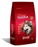 Kuiv koeratoit Canun Invictus lambalihaga, 20 kg