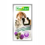 Nestor vitamiinid n&auml;rilistele marjadega, 20 g