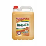 Universaalne puhastusvedelik LUDWIK s&ouml;&ouml;gisoodaga, 5 l