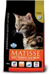 Matisse Neutered kuivtoit kassidele l&otilde;hega, 400 g