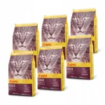 Josera Senior kuiv toit vanematele koertele, 6 x 2 kg