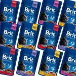 Brit Premium kassitoit kastmes, erinevad maitsed, 24 x 100 g