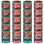 DOLINA NOTECI RAFI JUNIOR koeratoit erinevate maitsetega, 20 x 400 g