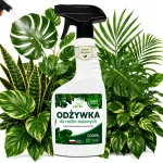 Konditsioneer v&auml;etise pihustamiseks roheliste taimede lehtedele Monstery Palm Ficus Fern