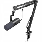 USB/XLR d&uuml;naamiline mikrofon m&auml;ngudele kingitusega