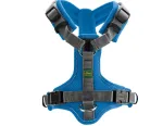 Koera valjad Hunter Maldon, sinised, XS-S