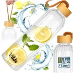 Vilde 750 ml klaasist joogipudel