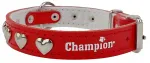 Koerakaelarihm Champion, nahk, 50 x 3 cm, s&uuml;damekujuline mustriga, must