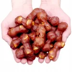 Koeramaius luu pardilihaga Hau&Miau, 500 g